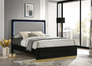 Caraway Panel Bed with LED Lighting
