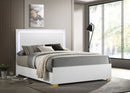 Marceline Panel Bed with LED Lighting