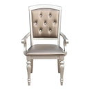 Orsina Arm Chair in Silver (Set of 2)