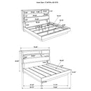 Fenwick Bookcase Platform Bed