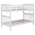 Chapman Bunk Bed