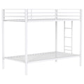 Alevera Bunk Bed