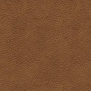 Carianna Loveseat
