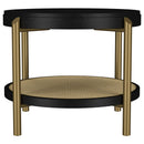 Arini End Table