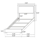 Marceline Panel Bed with LED Lighting
