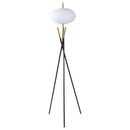 Layton Floor Lamps
