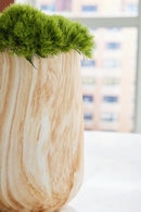 Cammen Vase - Furniture Warehouse (GA)