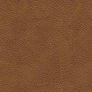 Carianna Sofa Sleeper - Furniture Warehouse (GA)