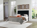 Danziar Bed - Furniture Warehouse (GA)