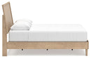 Cielden Bed - Furniture Warehouse (GA)