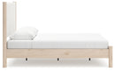 Cadmori Upholstered Bed - Furniture Warehouse (GA)