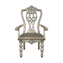 Catalonia Arm Chair in Platinum Gold (Set of 2)