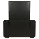 Leandro Dresser with Mirror